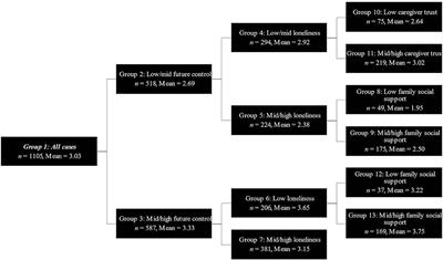 Future Orientation Among Children Affected by Parental HIV in China: An Exploratory Analysis of Complex Interactions